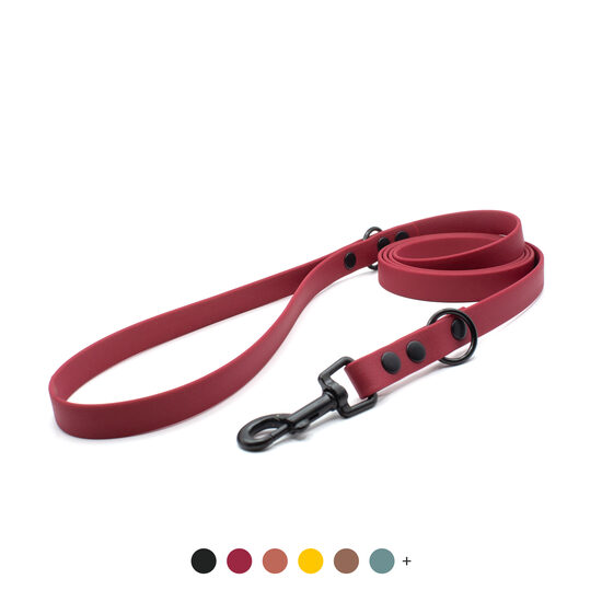 Waterproof leash with black metal carabiner